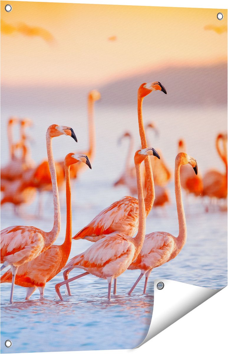 Gards Tuinposter Kudde Flamingo's in het Water - 60x80 cm - Tuindoek - Tuindecoratie - Wanddecoratie buiten - Tuinschilderij Multikleur