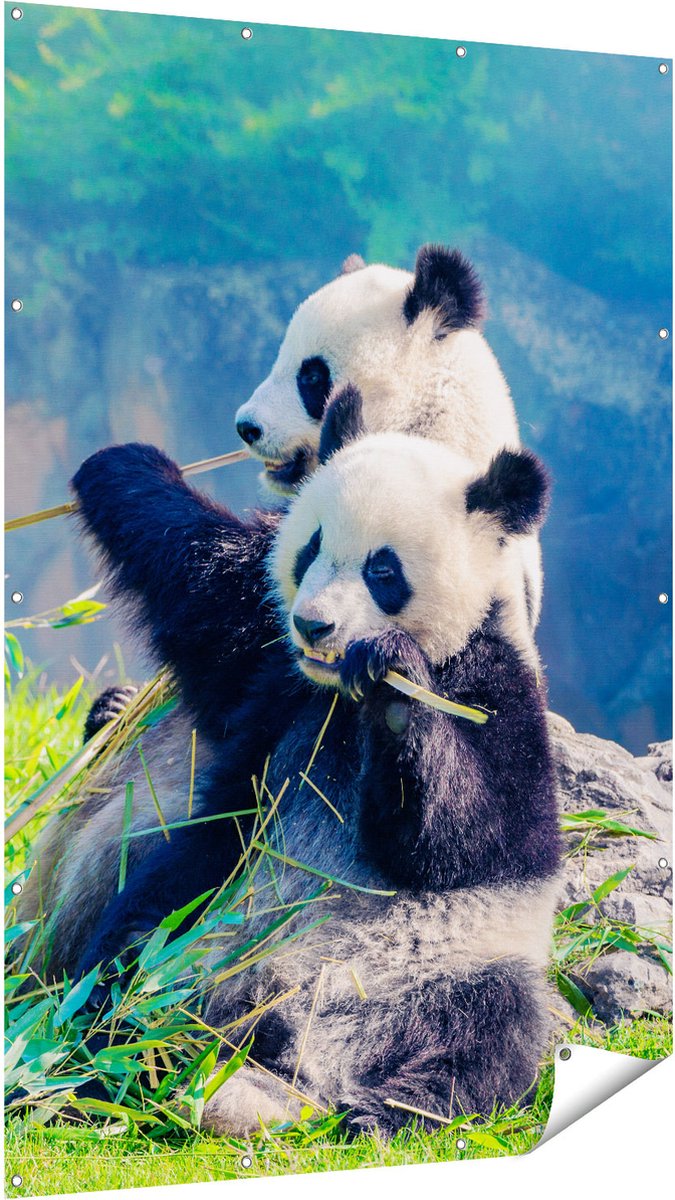 Gards Tuinposter Twee Panda's Eten Bamboe Riet - 120x180 cm - Tuindoek - Tuindecoratie - Wanddecoratie buiten - Tuinschilderij Multikleur