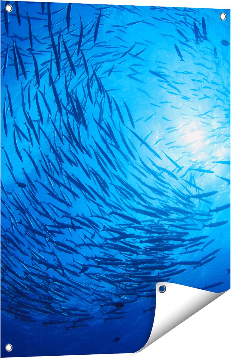 Gards Tuinposter Zwerm Vissen in de Oceaan - 60x80 cm - Tuindoek - Tuindecoratie - Wanddecoratie buiten - Tuinschilderij Multikleur