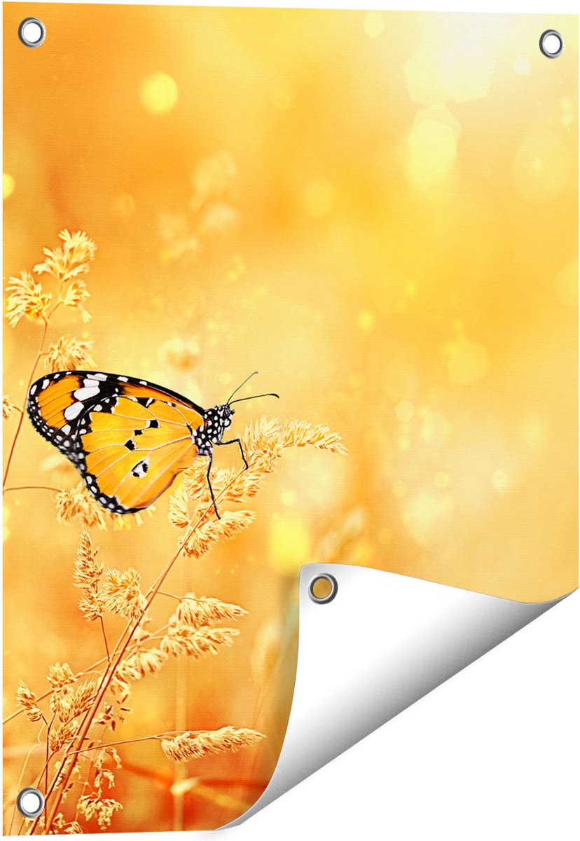 Gards Tuinposter Oranje Vlinder in het Oranje Veld - 40x50 cm - Tuindoek - Tuindecoratie - Wanddecoratie buiten - Tuinschilderij Multikleur