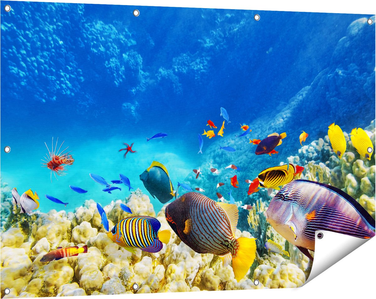 Gards Tuinposter Vissen in de Oceaan met Koralen - 120x80 cm - Tuindoek - Tuindecoratie - Wanddecoratie buiten - Tuinschilderij Multikleur