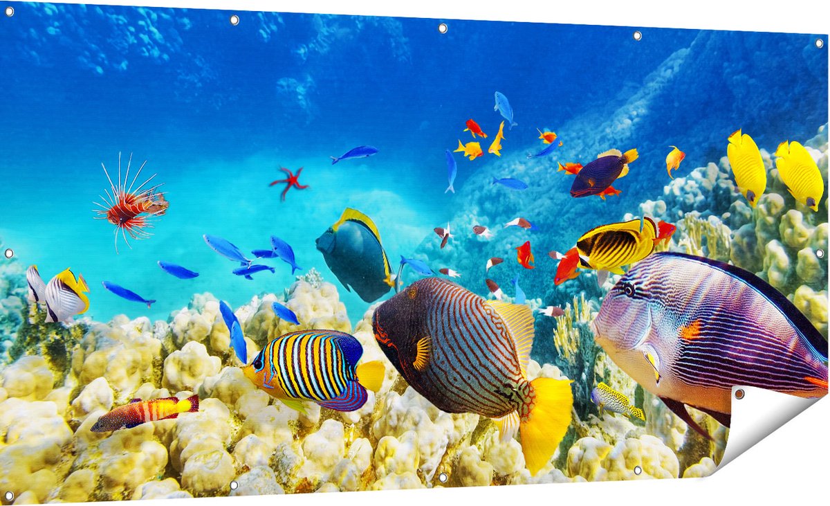 Gards Tuinposter Vissen in de Oceaan met Koralen - 180x90 cm - Tuindoek - Tuindecoratie - Wanddecoratie buiten - Tuinschilderij Multikleur