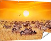 Gards Tuinposter Kudde Zebra's bij een Oranje Zonsondergang - 120x80 cm - Tuindoek - Tuindecoratie - Wanddecoratie buiten - Tuinschilderij