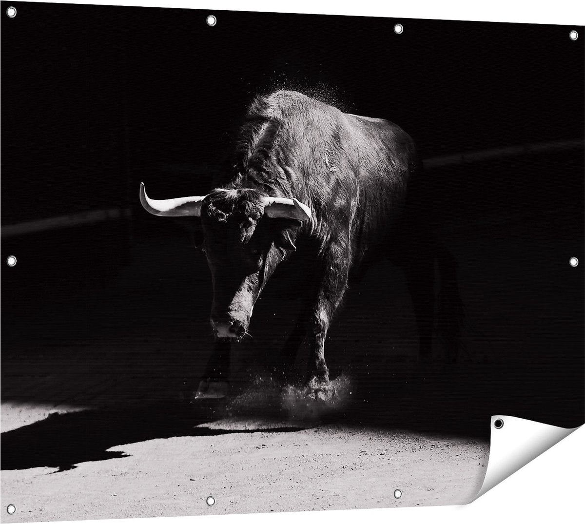 Gards Tuinposter Stier in de Arena - Zwart Wit - 120x90 cm - Tuindoek - Tuindecoratie - Wanddecoratie buiten - Tuinschilderij Multikleur