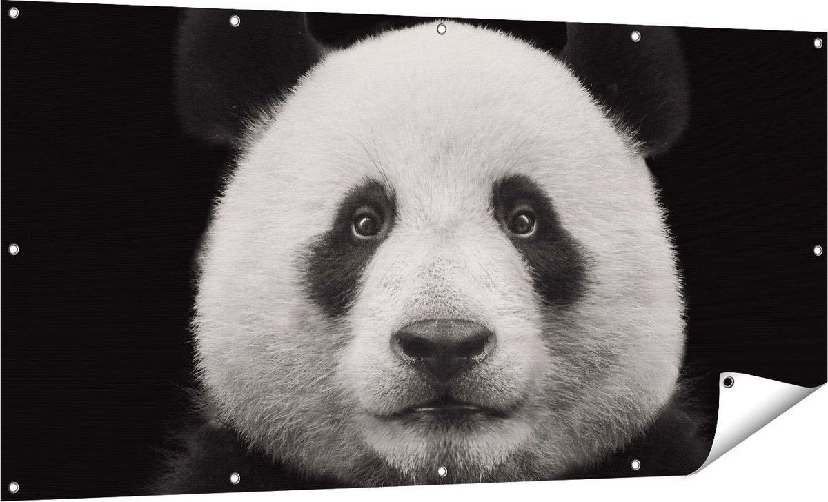 Gards Tuinposter Panda - Pandakop - 160x80 cm - Tuindoek - Tuindecoratie - Wanddecoratie buiten - Tuinschilderij Multikleur