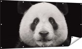 Gards Tuinposter Panda - Pandakop - 160x80 cm - Tuindoek - Tuindecoratie - Wanddecoratie buiten - Tuinschilderij