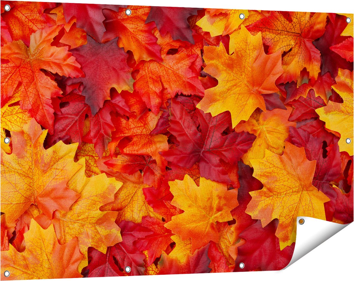 Gards Tuinposter Herfstbladeren in het Oranje en Rood - 120x80 cm - Tuindoek - Tuindecoratie - Wanddecoratie buiten - Tuinschilderij Multikleur