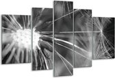 Peinture sur verre Fleur | Gris, noir | 170x100cm 5 Liège | Tirage photo sur verre |  F006502
