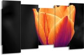GroepArt - Canvas Schilderij - Tulp - Oranje, Geel, Zwart - 150x80cm 5Luik- Groot Collectie Schilderijen Op Canvas En Wanddecoraties