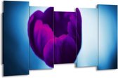 GroepArt - Canvas Schilderij - Tulp - Paars, Blauw, Wit - 150x80cm 5Luik- Groot Collectie Schilderijen Op Canvas En Wanddecoraties