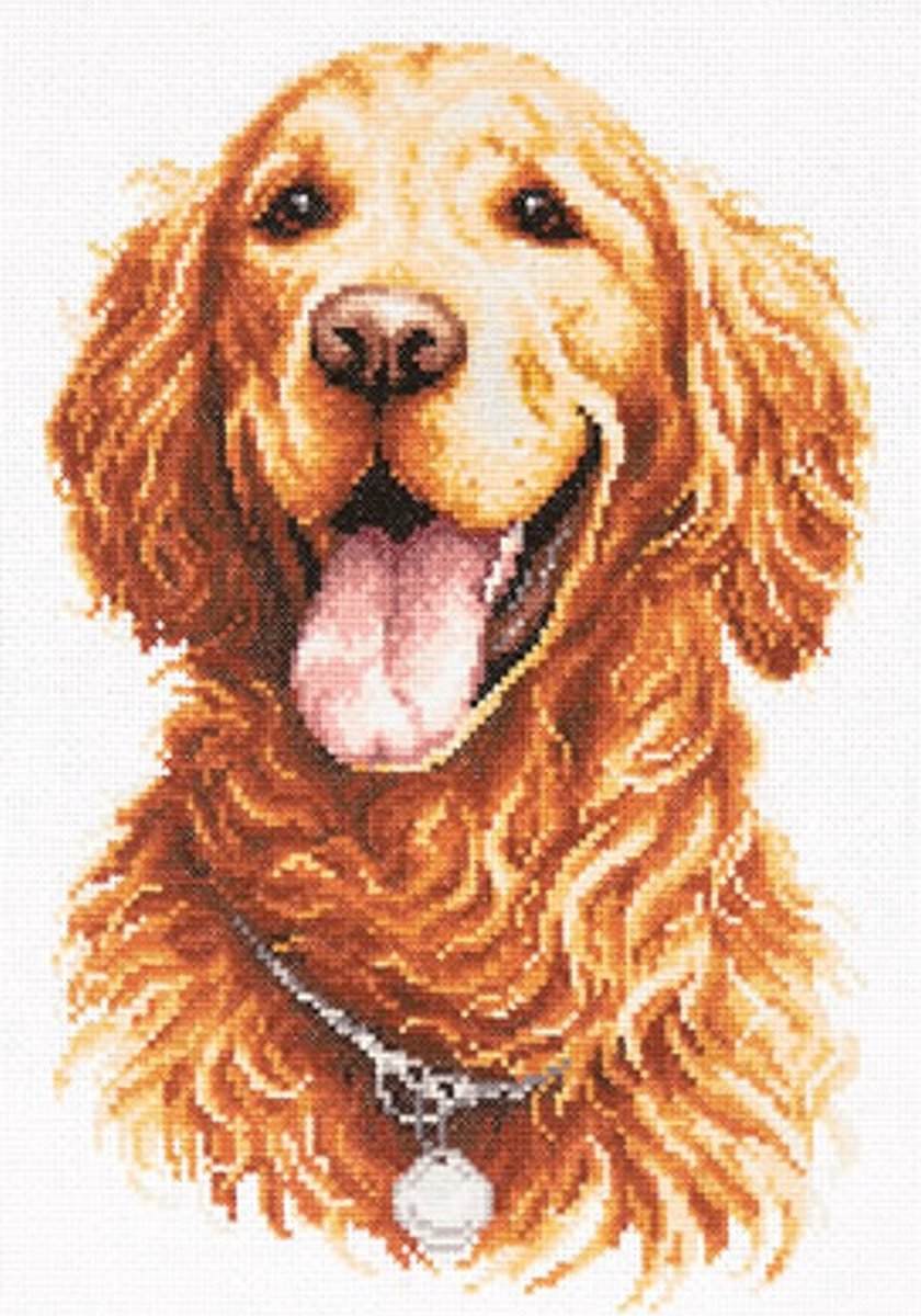 Golden Retriever - Aida telpakket - Magic Needle