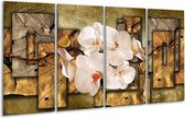 GroepArt - Glasschilderij - Orchidee - Bruin, Crème - 160x80cm 4Luik - Foto Op Glas - Geen Acrylglas Schilderij - 6000+ Glasschilderijen Collectie - Wanddecoratie