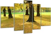 Glasschilderij Natuur - Geel, Groen, Zwart - 170x100cm 5Luik - Foto Op Glas - Geen Acrylglas Schilderij - 6000+ Glasschilderijen Collectie - Wanddecoratie