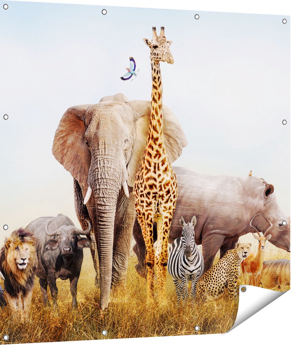 Gards Tuinposter Afrikaanse Dieren op het Gras - Afrika - 110x110 cm - Tuindoek - Tuindecoratie - Wanddecoratie buiten - Tuinschilderij Multikleur