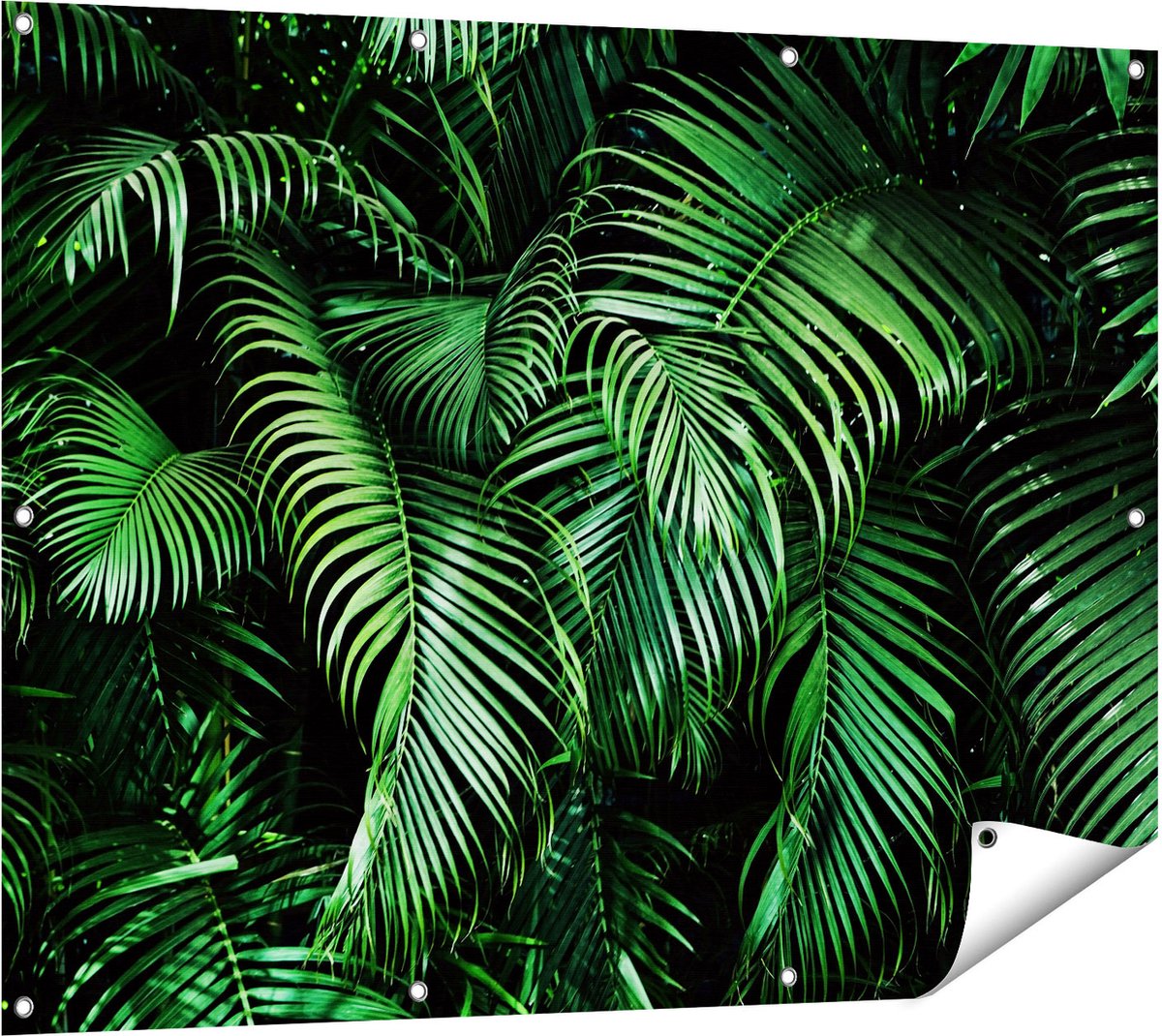 Gards Tuinposter Tropische Palm Bladeren - Groen - 120x90 cm - Tuindoek - Tuindecoratie - Wanddecoratie buiten - Tuinschilderij Multikleur