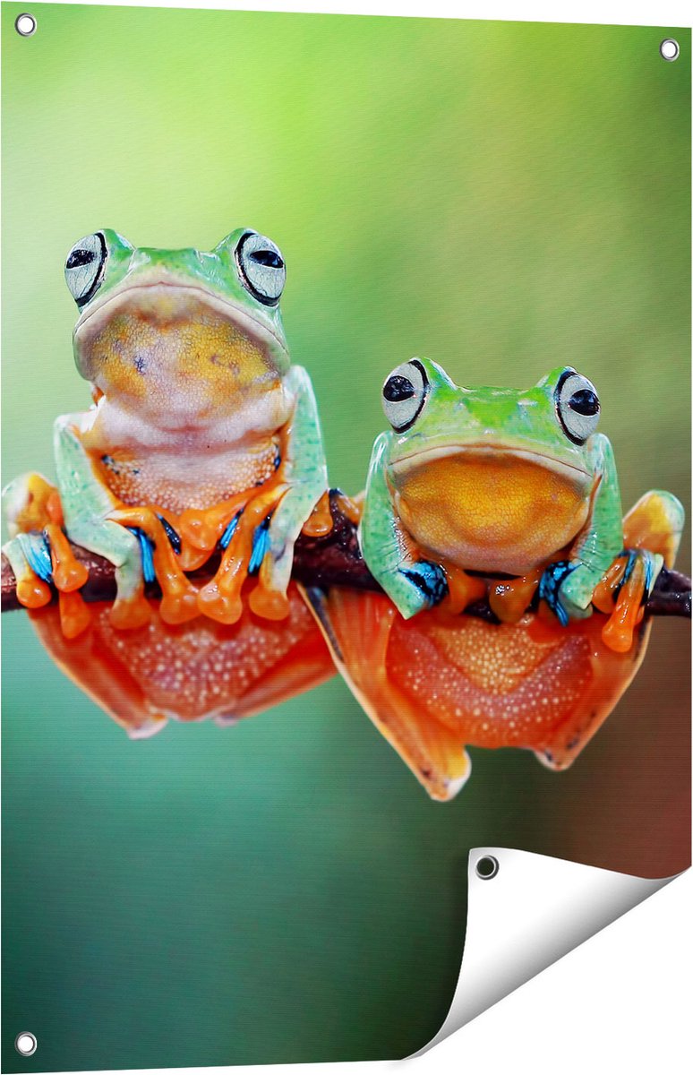 Gards Tuinposter Twee Boomkikkers op een Tak - 60x80 cm - Tuindoek - Tuindecoratie - Wanddecoratie buiten - Tuinschilderij Multikleur