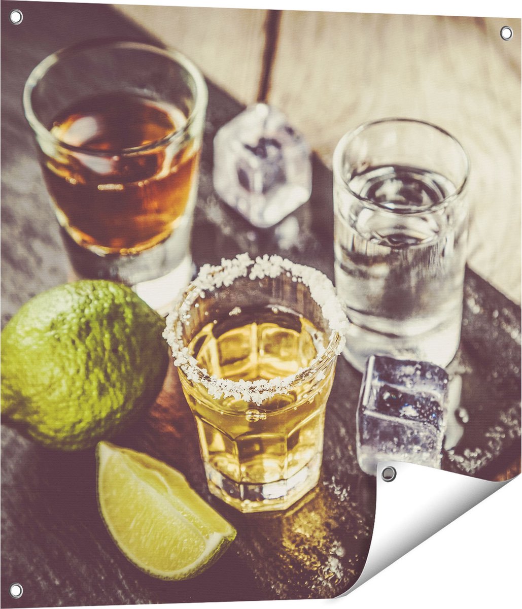 Gards Tuinposter Alcoholische Drankjes - Drank - 70x70 cm - Tuindoek - Tuindecoratie - Wanddecoratie buiten - Tuinschilderij Multikleur