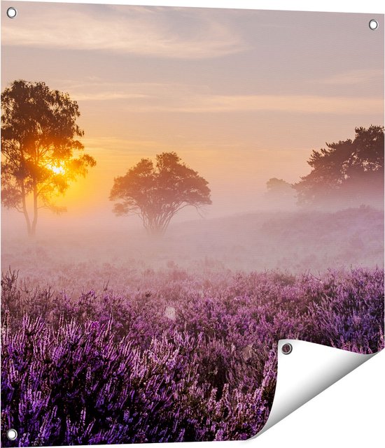 Gards Tuinposter Weide in de Veluwe bij Zonsondergang - 70x70 cm - Tuindoek - Tuindecoratie - Wanddecoratie buiten - Tuinschilderij