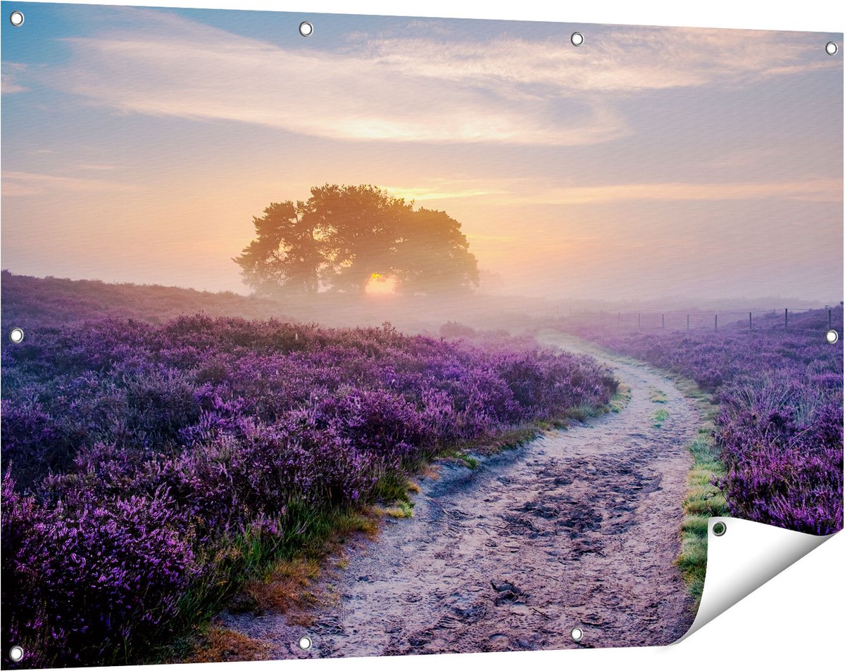 Gards Tuinposter Pad in de Weide van de Veluwe - 120x80 cm - Tuindoek - Tuindecoratie - Wanddecoratie buiten - Tuinschilderij Multikleur