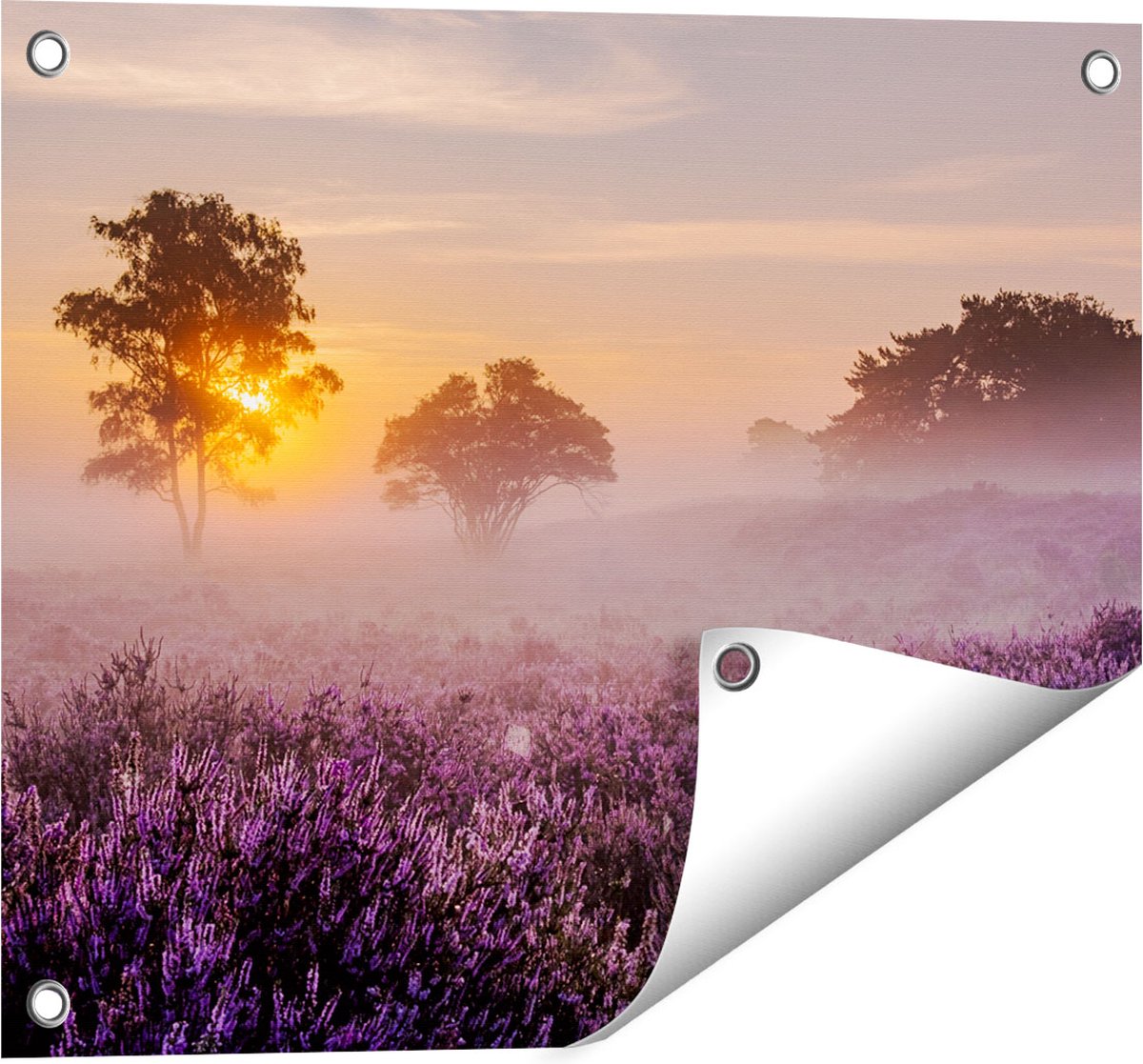 Gards Tuinposter Weide in de Veluwe bij Zonsondergang - 50x40 cm - Tuindoek - Tuindecoratie - Wanddecoratie buiten - Tuinschilderij Multikleur
