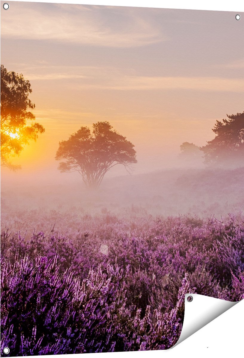 Gards Tuinposter Weide in de Veluwe bij Zonsondergang - 80x100 cm - Tuindoek - Tuindecoratie - Wanddecoratie buiten - Tuinschilderij Multikleur