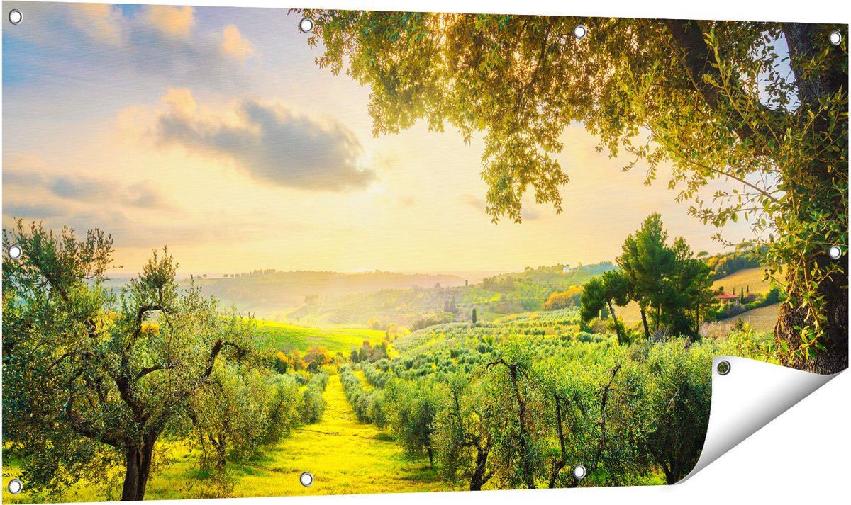 Gards Tuinposter Olijvenbomen - Olijvengaard - 120x60 cm - Tuindoek - Tuindecoratie - Wanddecoratie buiten - Tuinschilderij Multikleur
