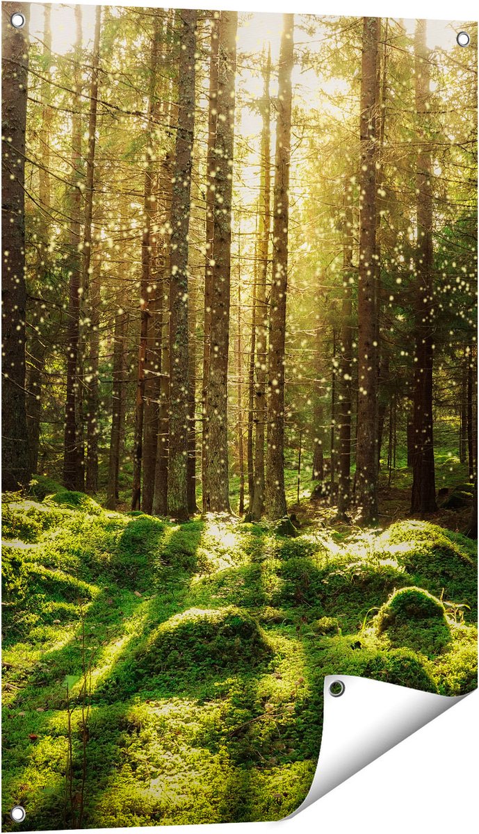 Gards Tuinposter Bos met Groen Mos op de Grond - 60x90 cm - Tuindoek - Tuindecoratie - Wanddecoratie buiten - Tuinschilderij Multikleur