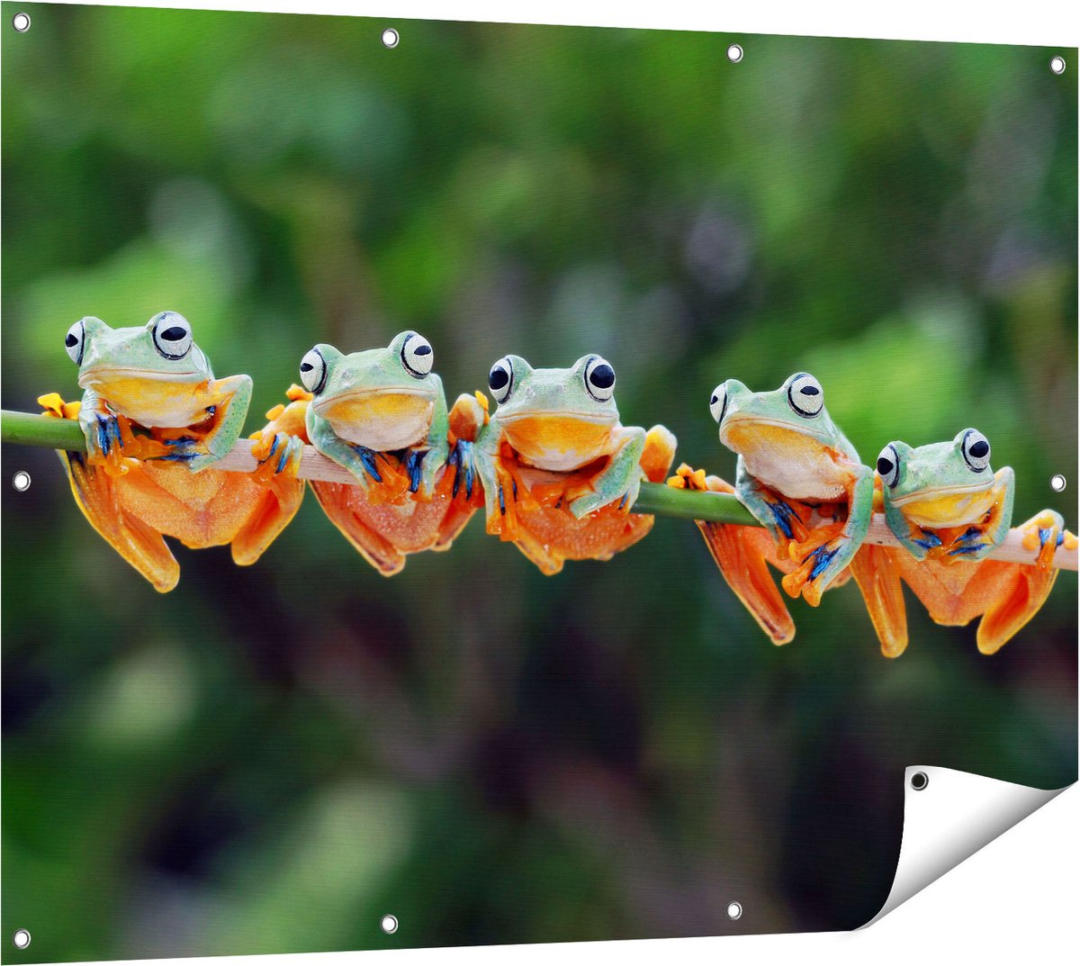 Gards Tuinposter Groep Kikkers op een Tak - 120x90 cm - Tuindoek - Tuindecoratie - Wanddecoratie buiten - Tuinschilderij Multikleur