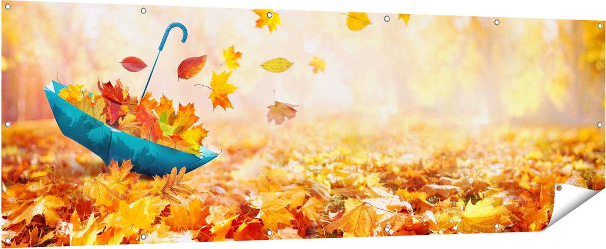 Gards Tuinposter Blauwe Paraplu in de Herfstbos met Bladeren - 210x70 cm - Tuindoek - Tuindecoratie - Wanddecoratie buiten - Tuinschilderij Multikleur