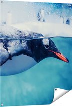 Gards Tuinposter Pingu�n Zwemt in het Water - 80x100 cm - Tuindoek - Tuindecoratie - Wanddecoratie buiten - Tuinschilderij