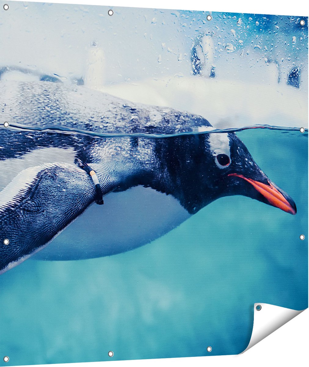 Gards Tuinposter Pingu�n Zwemt in het Water - 110x110 cm - Tuindoek - Tuindecoratie - Wanddecoratie buiten - Tuinschilderij Multikleur