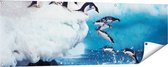 Gards Tuinposter Kudde Pingu�ns Springen vanaf een Rots - 150x50 cm - Tuindoek - Tuindecoratie - Wanddecoratie buiten - Tuinschilderij