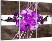 Glasschilderij Orchidee - Paars, Grijs, Wit - 120x80cm 3Luik - Foto Op Glas - Geen Acrylglas Schilderij - GroepArt 6000+ Glas Art Collectie - Maatwerk Mogelijk