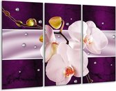 Peinture sur verre d'orchidée | Violet, blanc, gris | 120x80cm 3 Liège | Tirage photo sur verre |  F005620