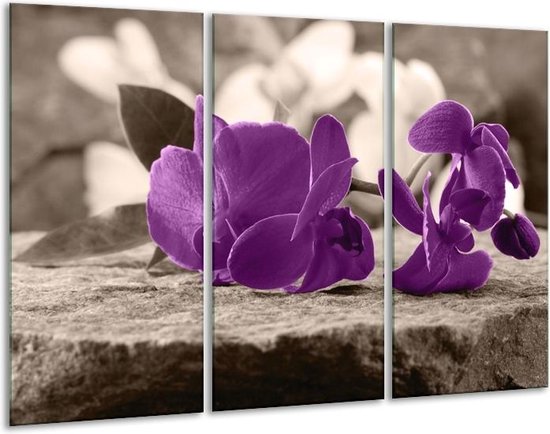 Peinture sur verre d'orchidée | Violet, gris | 120x80cm 3 Liège | Tirage photo sur verre |  F004548