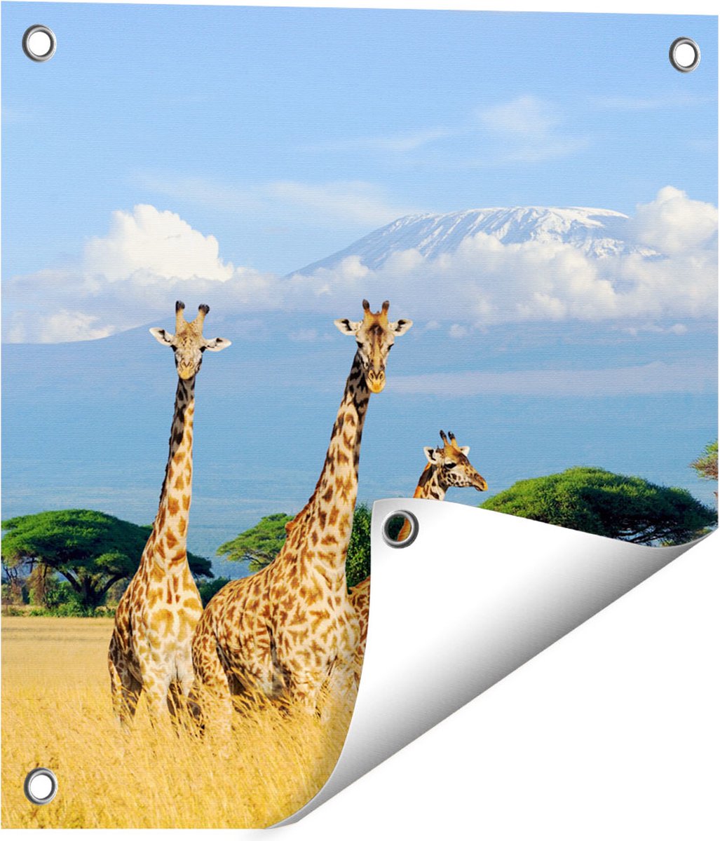 Gards Tuinposter Drie Giraffes in de Savanne - 40x40 cm - Tuindoek - Tuindecoratie - Wanddecoratie buiten - Tuinschilderij Multikleur