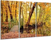 Peinture sur verre Nature | Jaune, marron, vert | 120x80cm 3 Liège | Tirage photo sur verre |  F001235