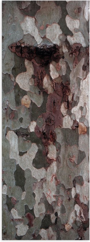 Poster Glanzend – Afbladderende Schors van Boom - 30x90 cm Foto op Posterpapier met Glanzende Afwerking