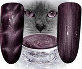 Hollywood Nails - Cat Eye Color Gel 784 - metallic paars color gel - polish - gelpolish - gellak - nagels - nagelverzorging - nagelstyliste - uv / led - nagelstylist – callance
