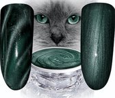 Hollywood Nails - Cat Eye Color Gel 785 - metallic groen color gel - polish - gelpolish - gellak - nagels - nagelverzorging - nagelstyliste - uv / led - nagelstylist – callance