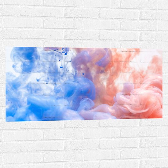 Muursticker - Blauwe en Oranje Rook tegen Witte Achtergrond - 100x50 cm Foto op Muursticker
