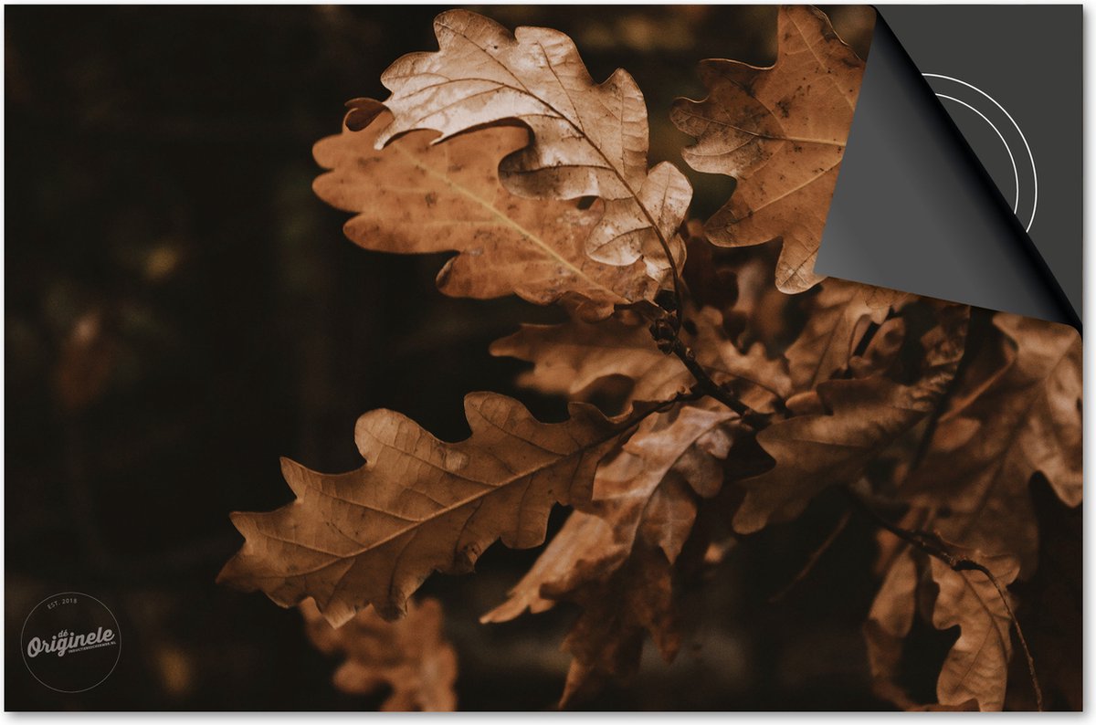 Inductie beschermer 77x51 - afdekplaat inductie mat - Dietrix Kookplaat beschermer - Base - Herfst - Herfsttak donker