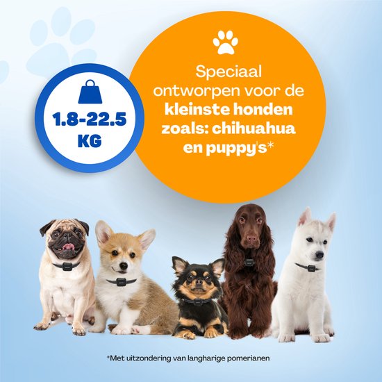 Speciaal ontworpen voor de kleinste honden zoals chihuahua en puppy's. Geschikt voor 1.8-22.5 KG.