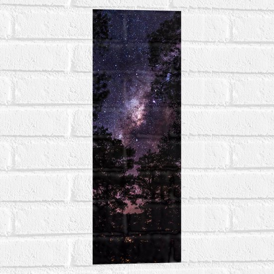 Muursticker - Heldere Galaxy Hemel tussen de Boomtoppen van het Bos - 20x60 cm Foto op Muursticker