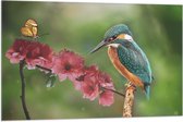 Vlag - IJsvogel en Vlinder op Bloesem Bloemen - 105x70 cm Foto op Polyester Vlag