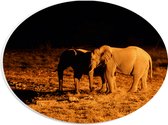 PVC Schuimplaat Ovaal - Twee Olifanten in het Landschap tijdens de Donkere Nacht - 28x21 cm Foto op Ovaal (Met Ophangsysteem)