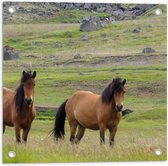 Tuinposter – Twee Bruine Wilde Paarden in de Bergen van IJsland - 50x50 cm Foto op Tuinposter (wanddecoratie voor buiten en binnen)