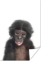 Poster Aap - Dieren - Natuur - Chimpansee - 40x60 cm