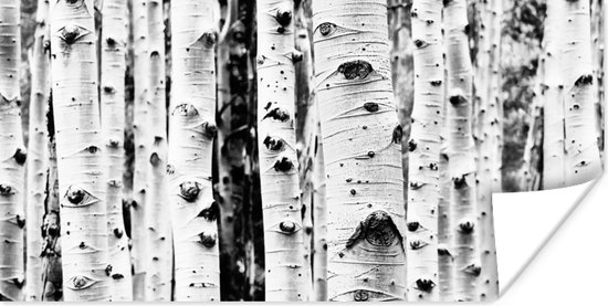 Poster Bomen - Hout - Zwart wit - Natuur - 160x80 cm