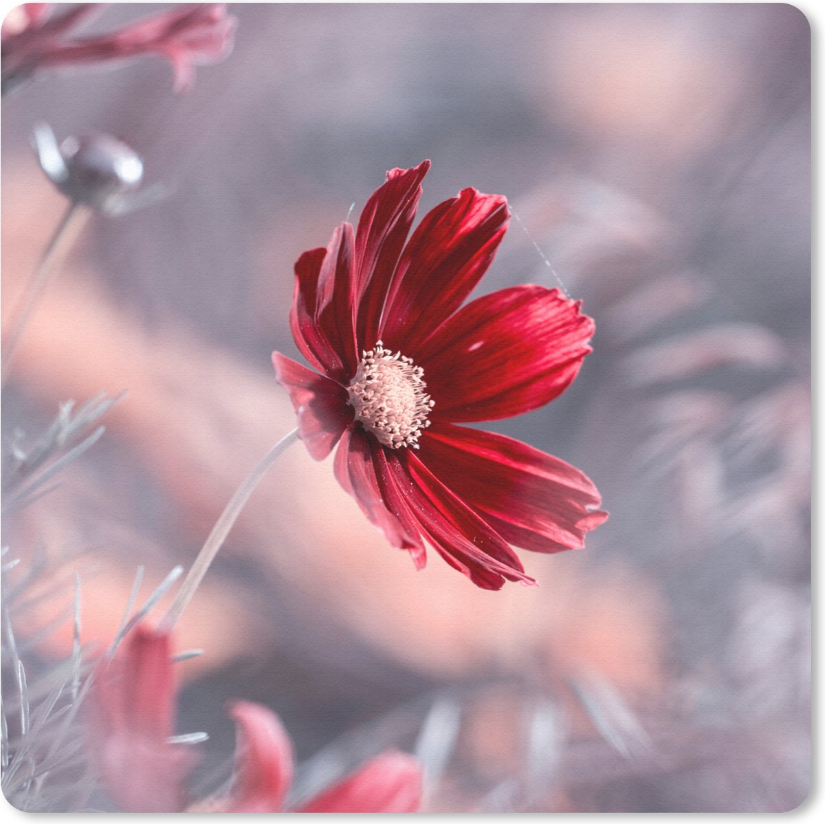 Muismat 20x20 cm - Mousepad Bloemen - Rood - Natuur - Planten - Muismatten